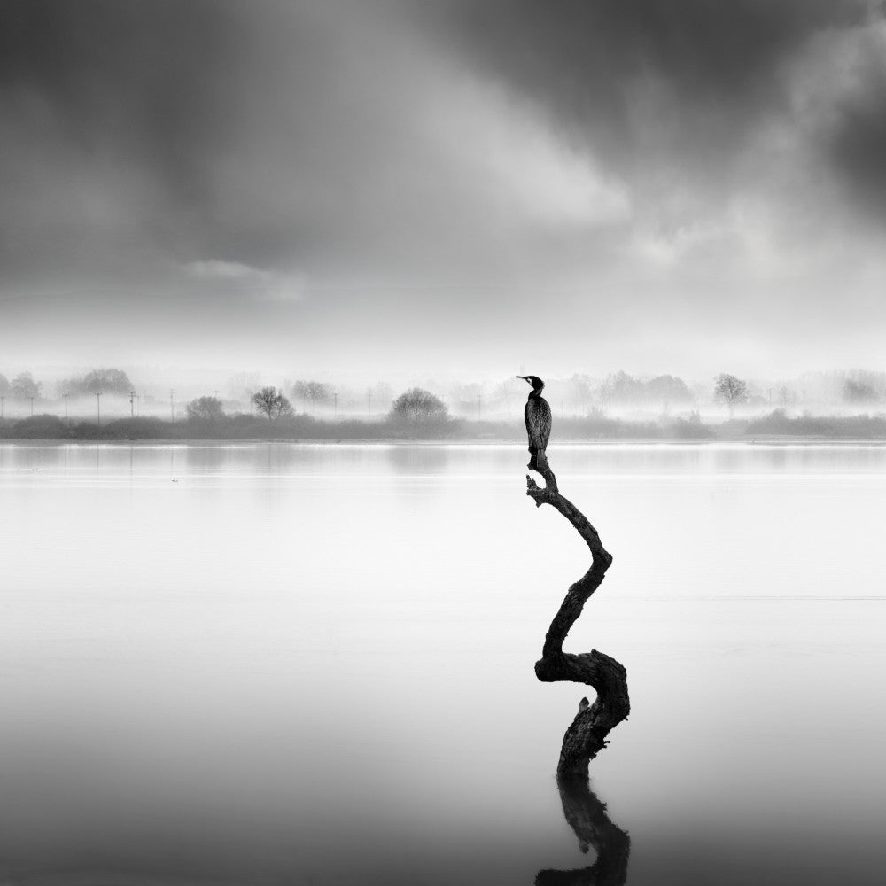 Whispers of Silence