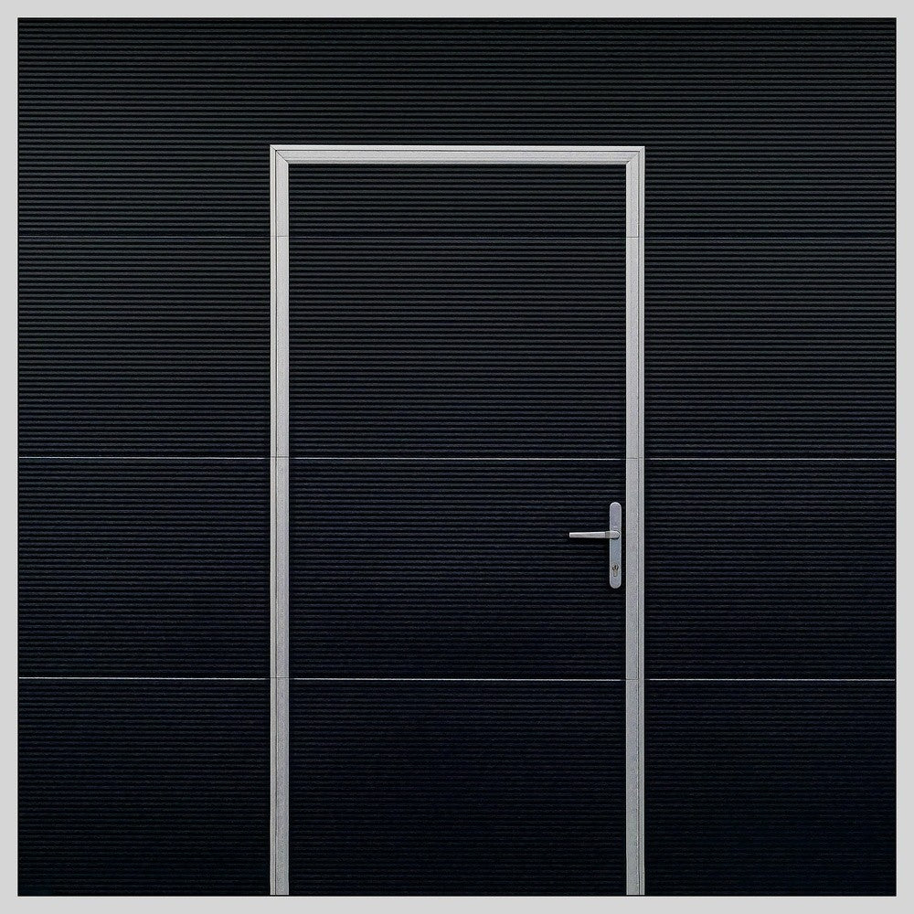 The black door