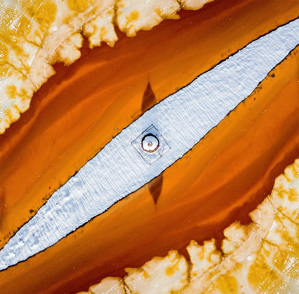 Snake eyes