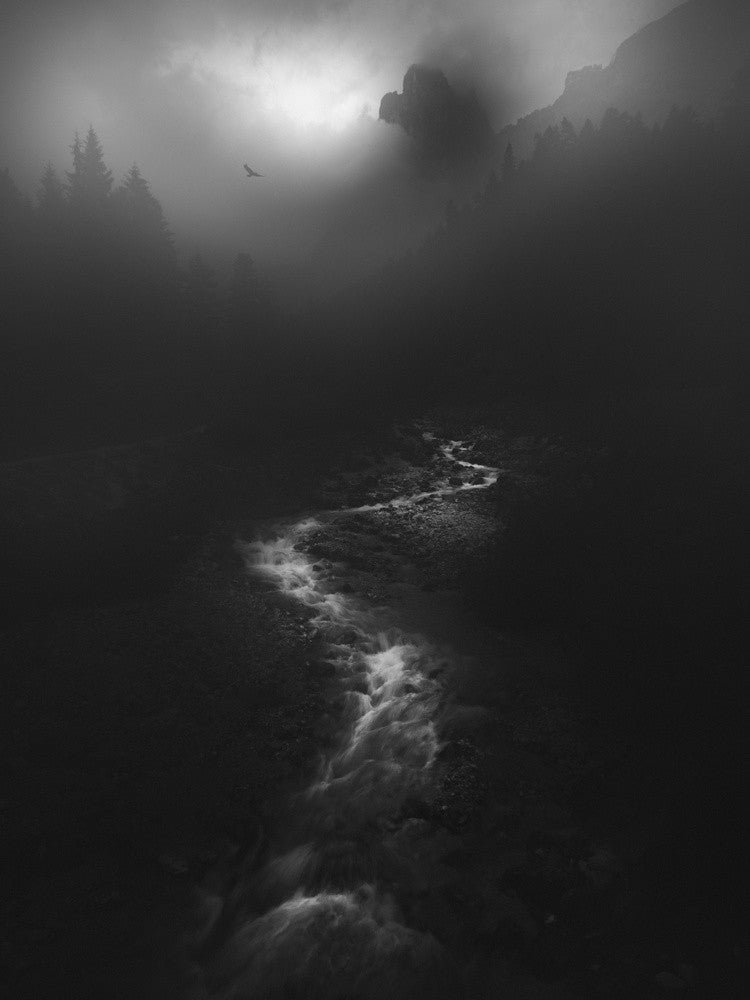 Gloom