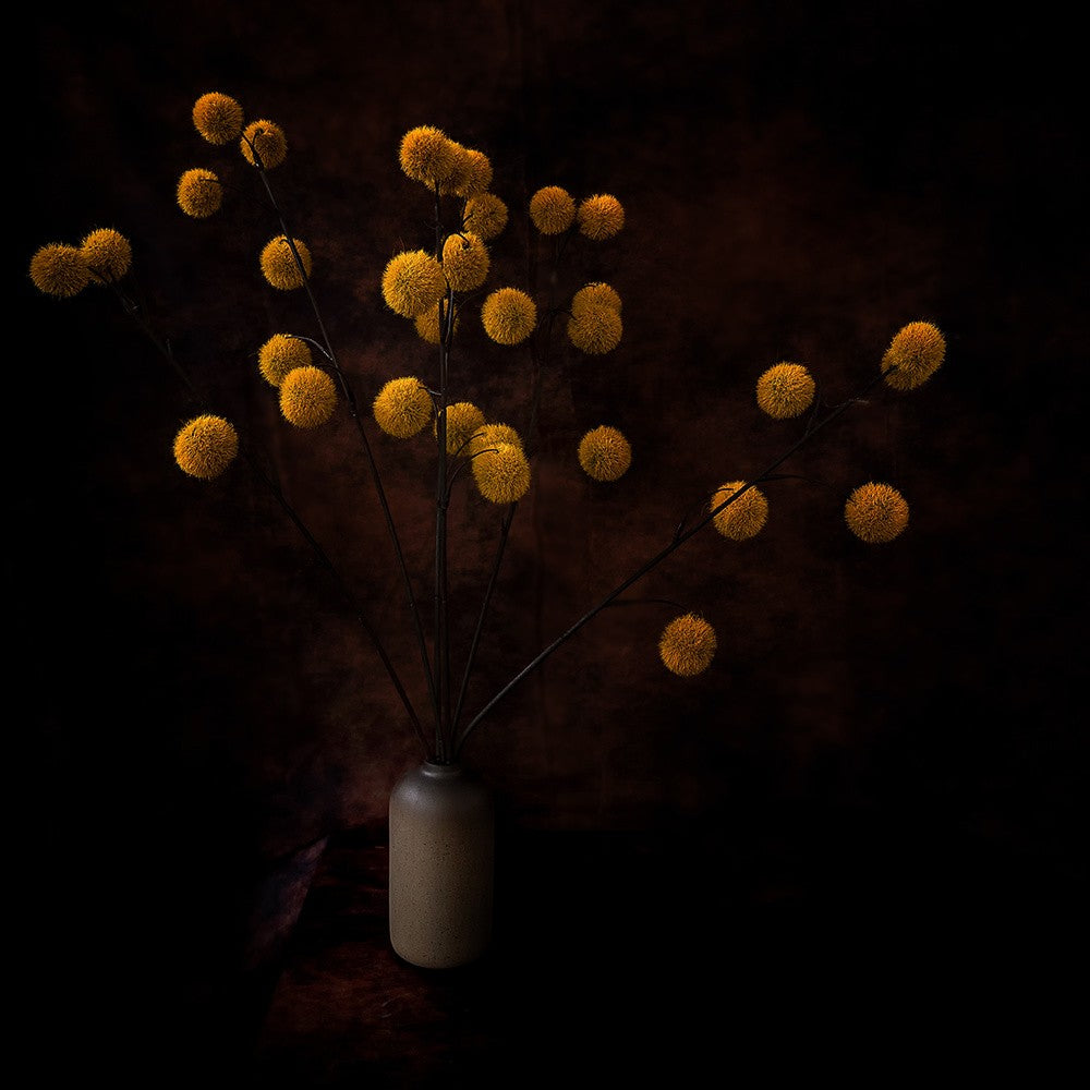 Autumn harvest