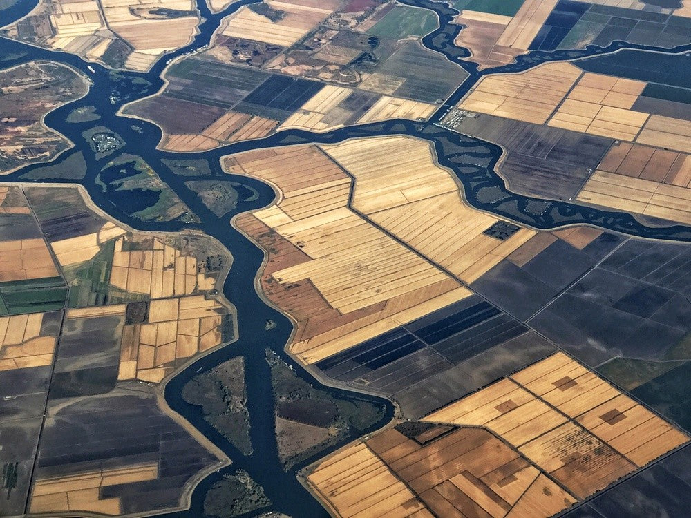 Delta Farmland