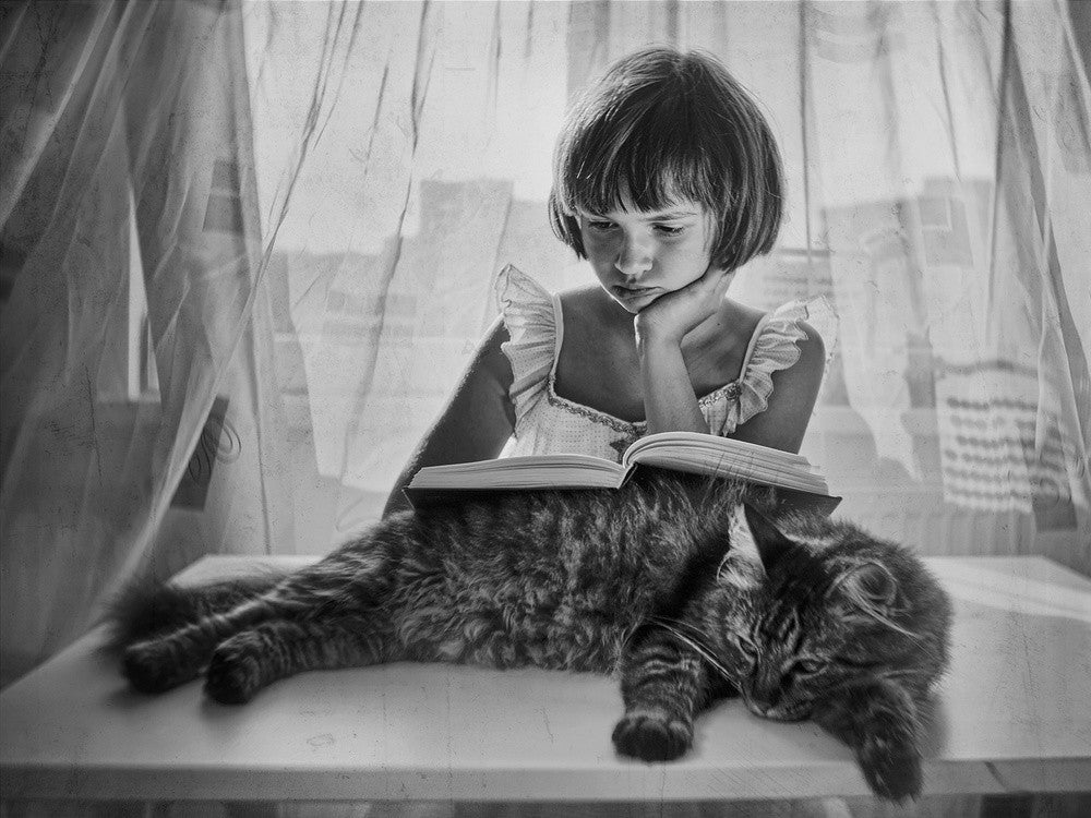 Leser
