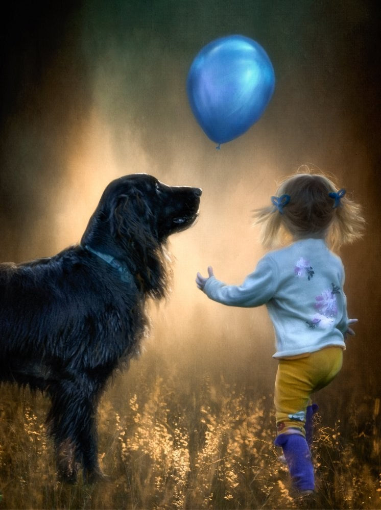 '...we'll just fly away...'