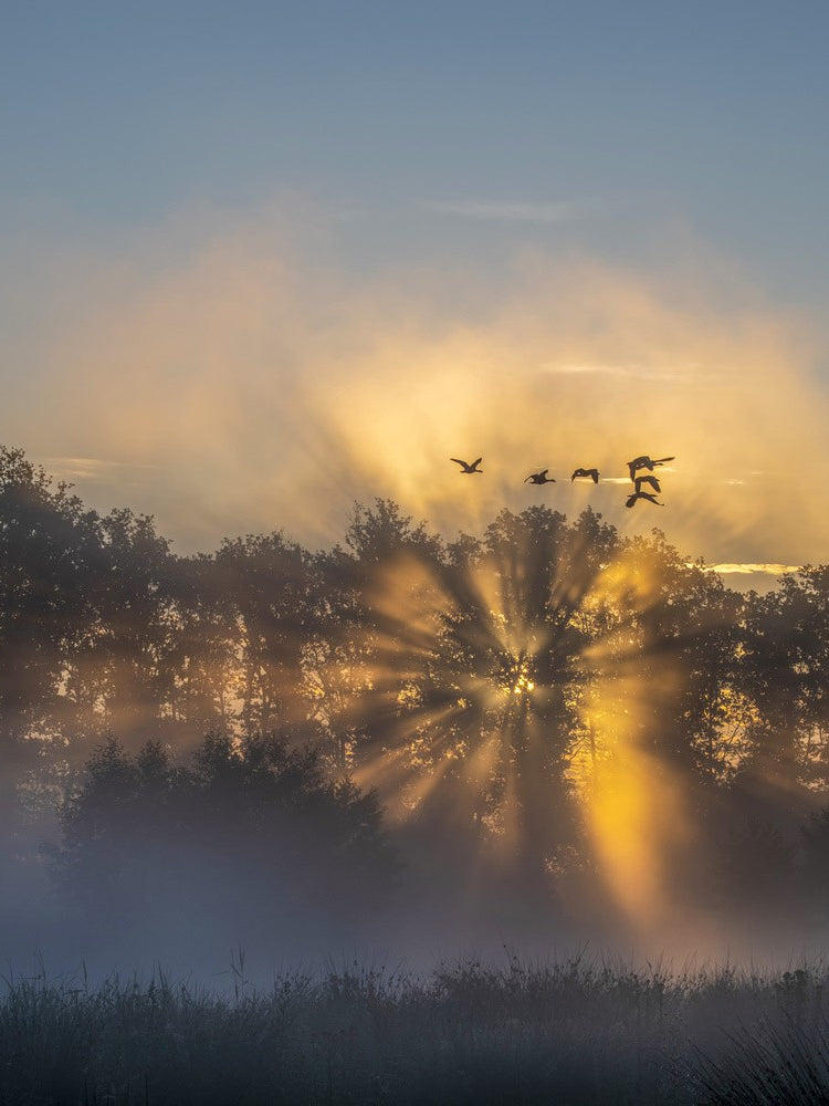  the Netherlands in the early morning