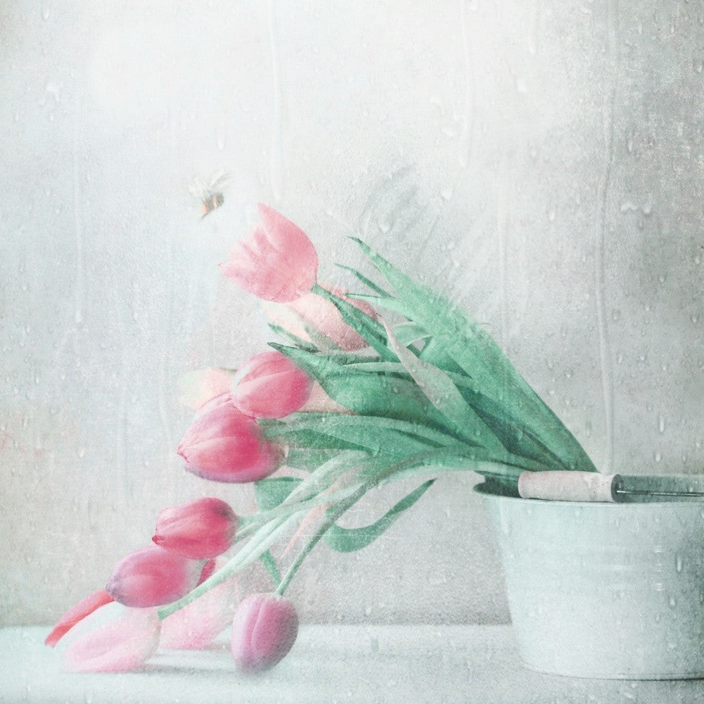 Early Summer Rain