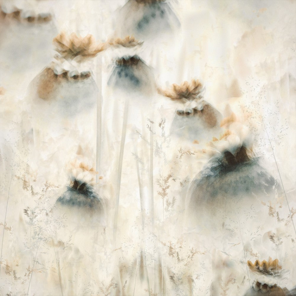Seed pods