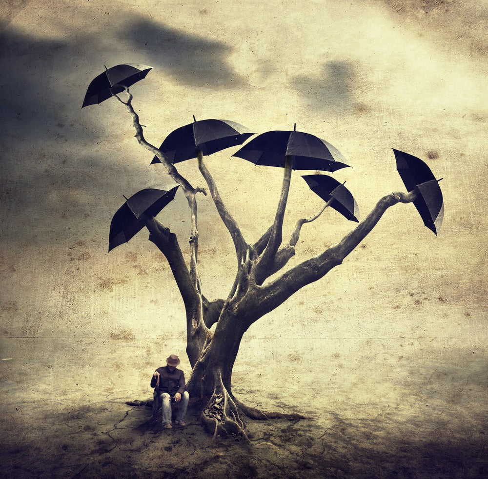 Waiting man and the umbrella tree