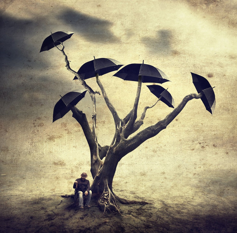 Waiting man and the umbrella tree