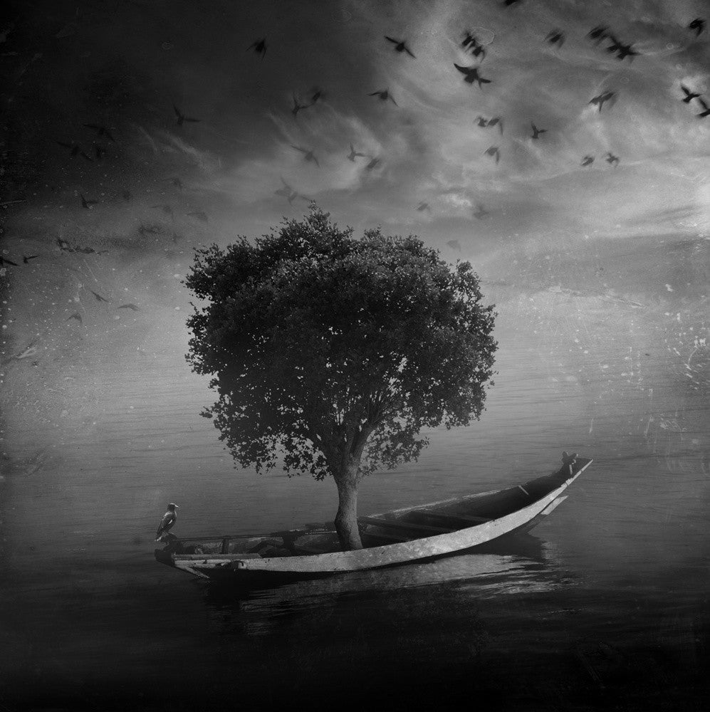 the silent lake story