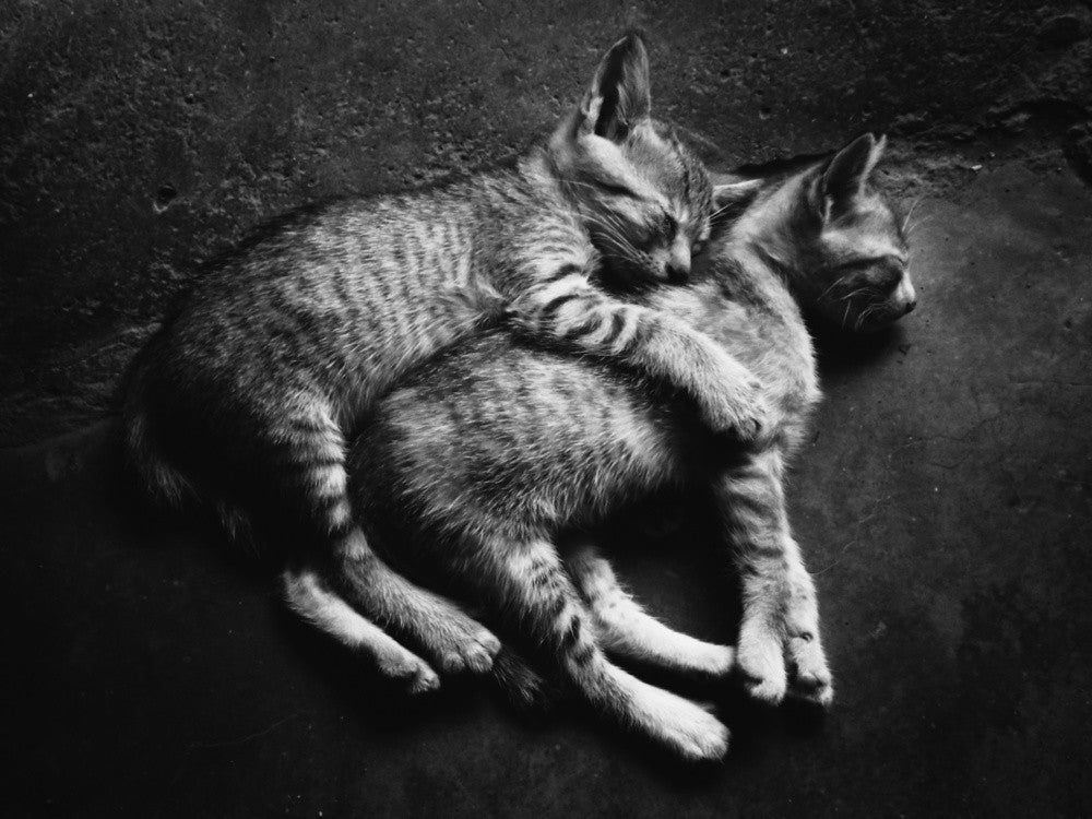 Soulmate