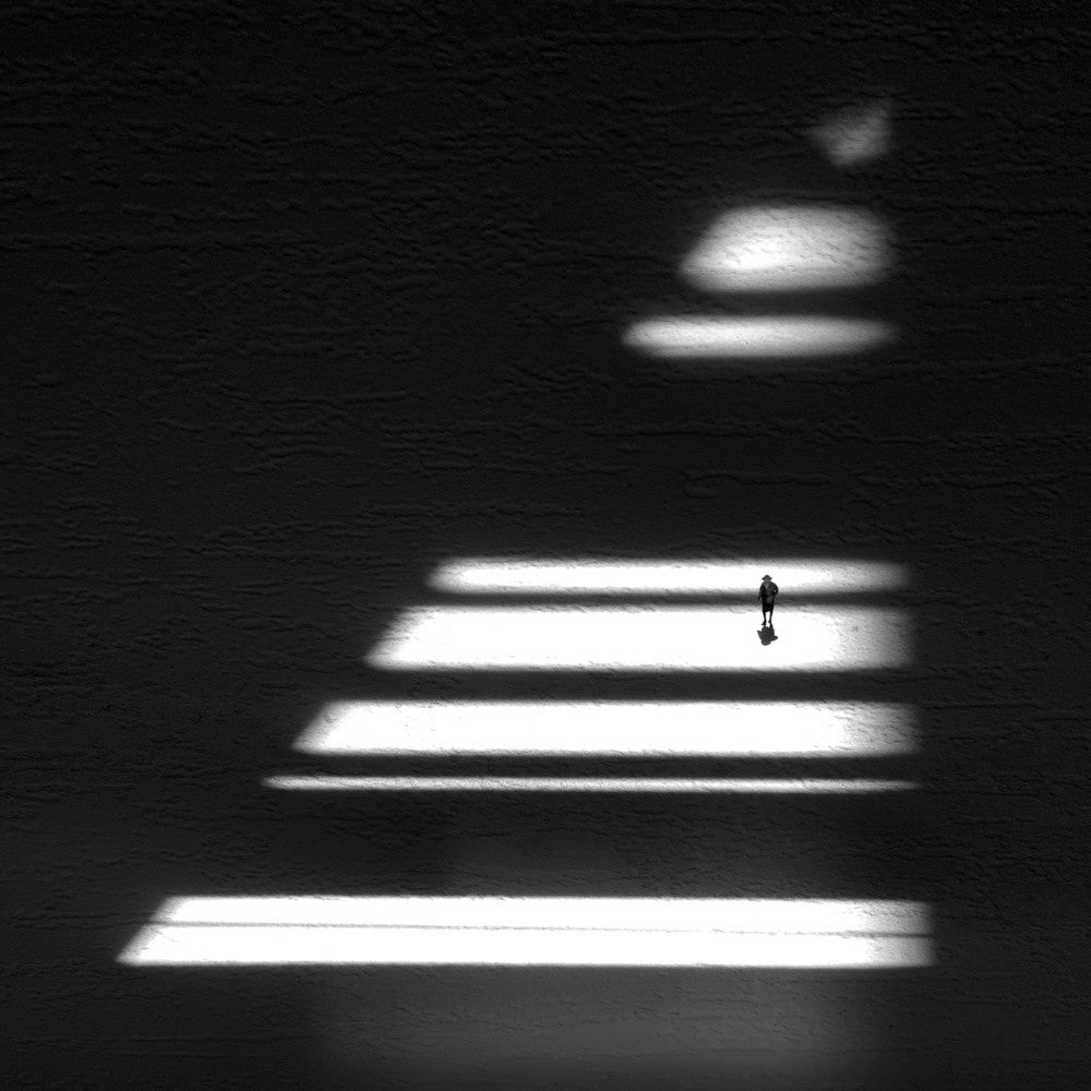 Ins Licht