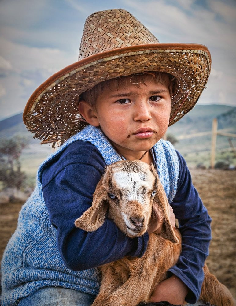 little shepherd