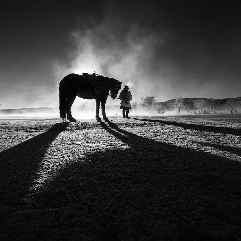 The winter