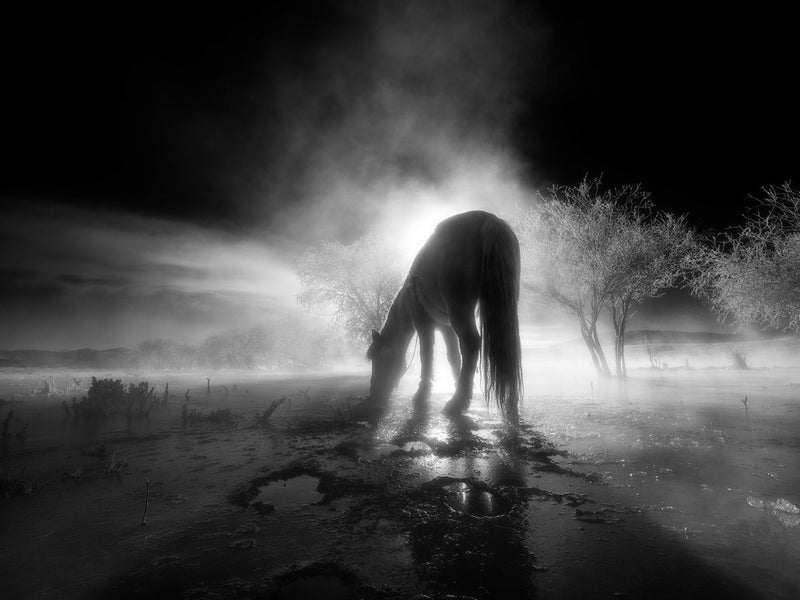 The winter