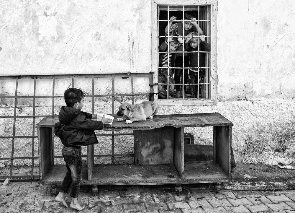 do you a favor ( refugee children)