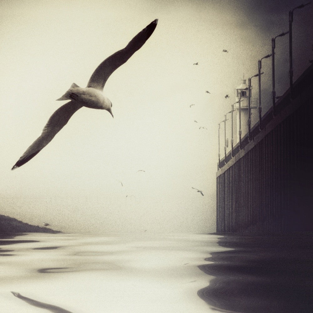 the tide