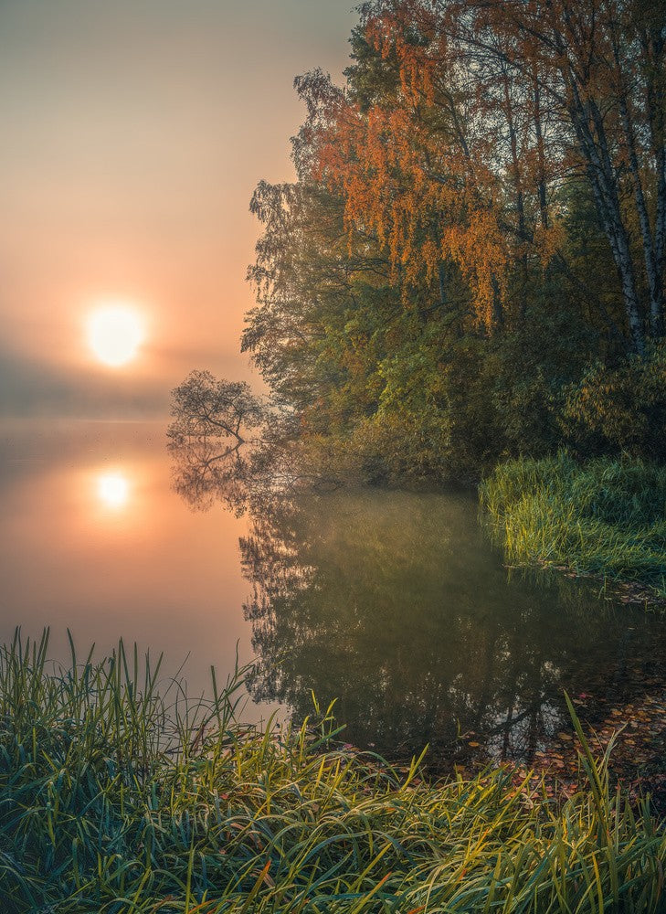 Foggy fall lake