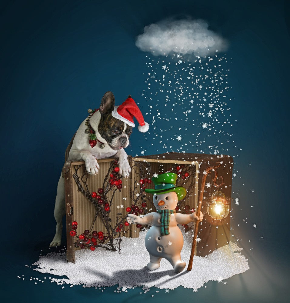 Dali and Snowman