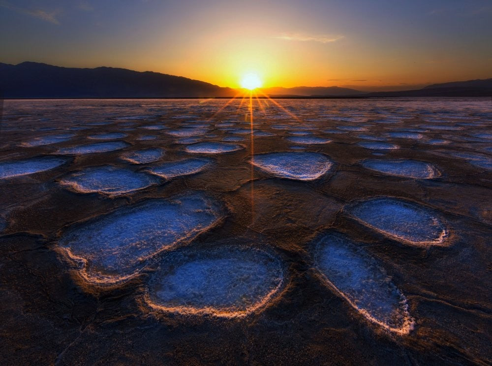 Kristallblume im Death Valley