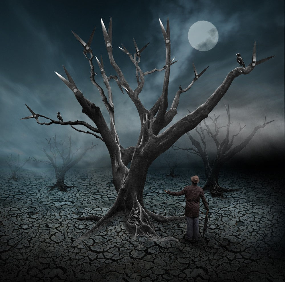lost in the forest of scissors