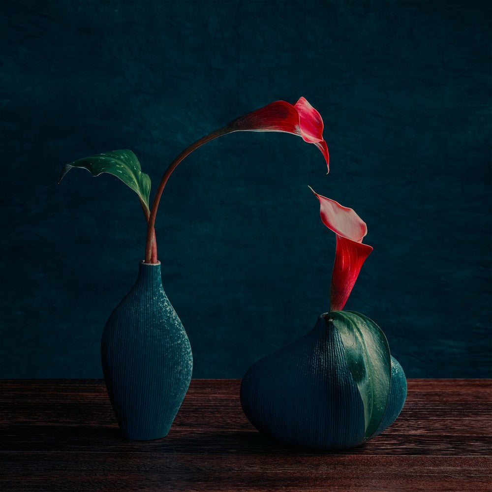 Rote Calla-Lilien