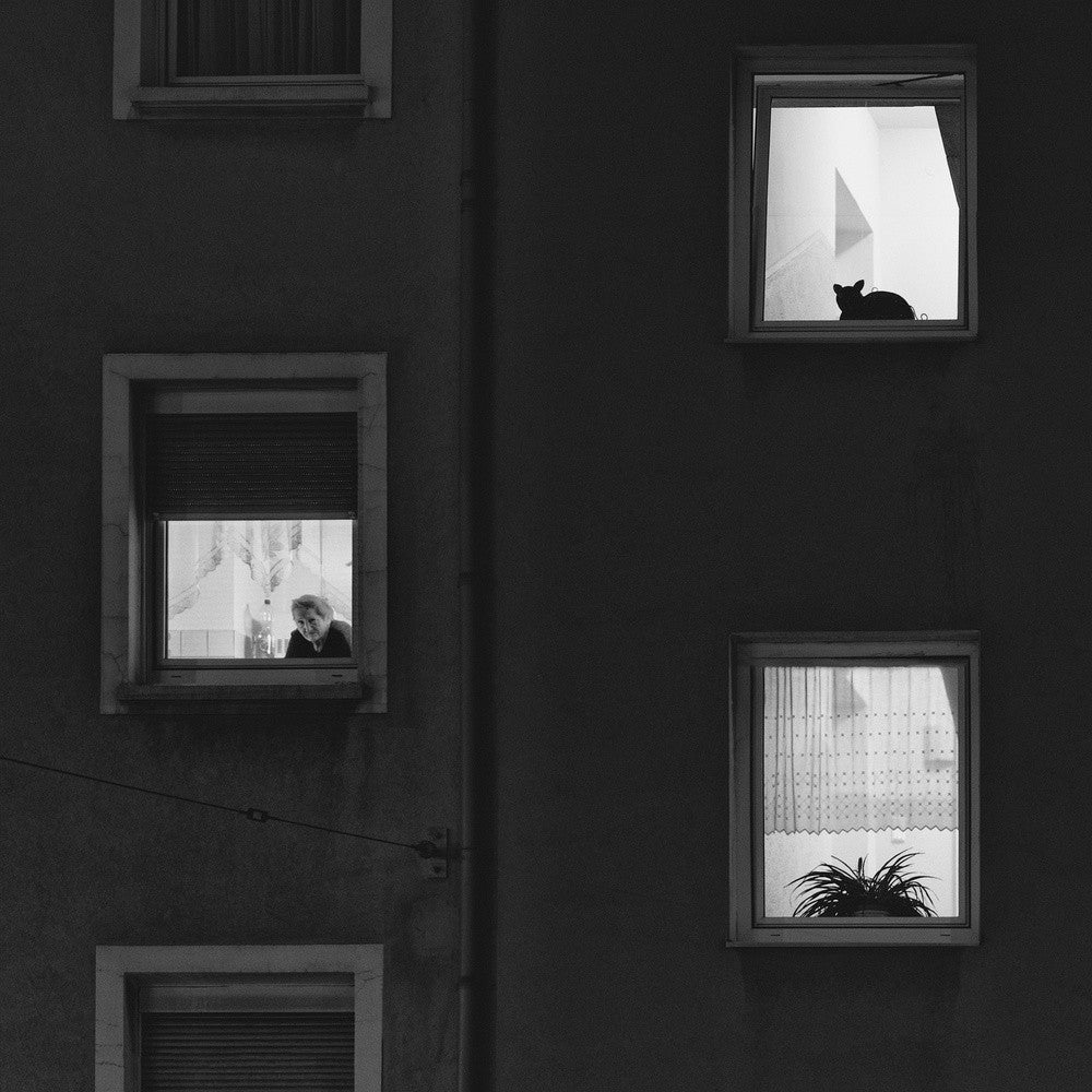 The Lives of Others