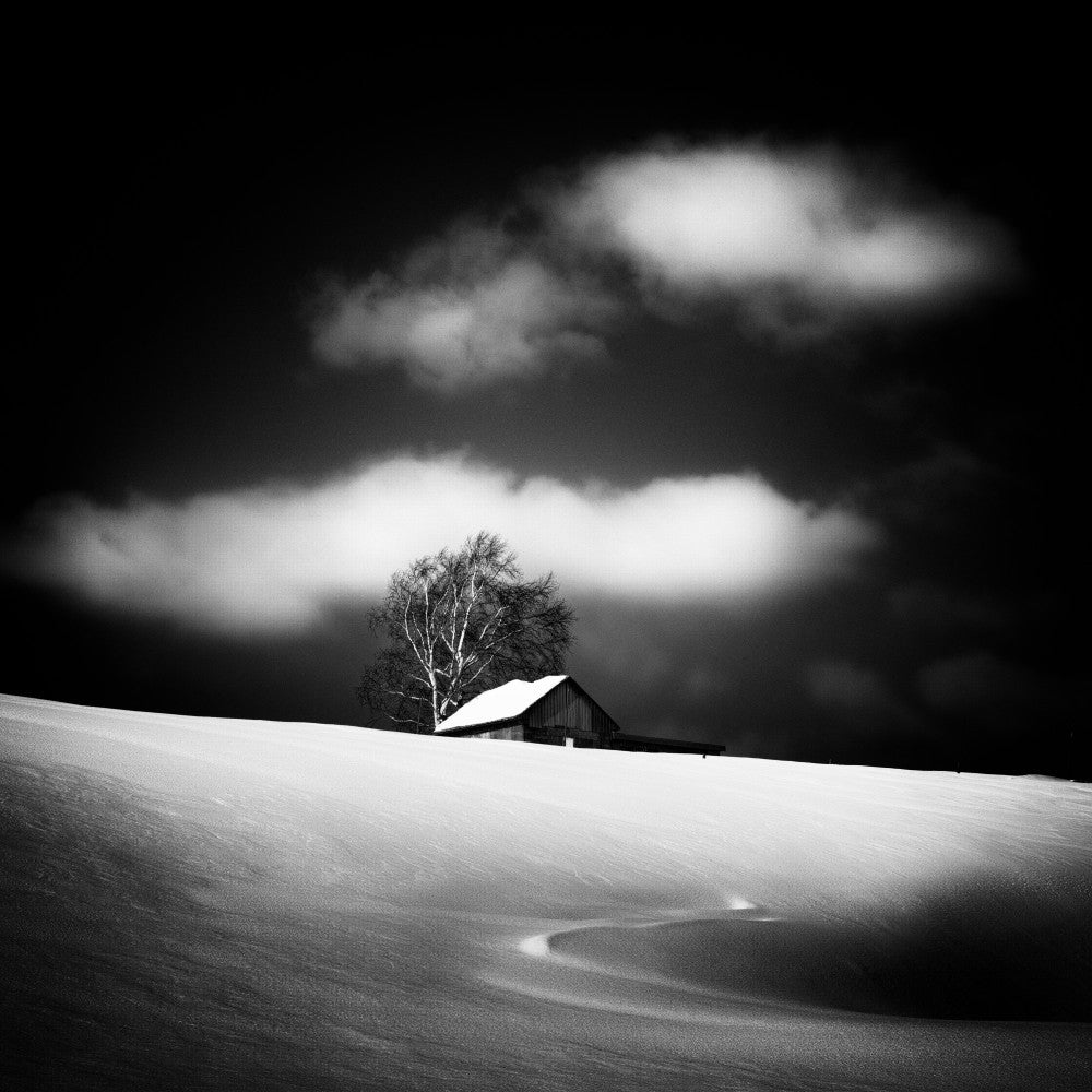 Ohne Titel