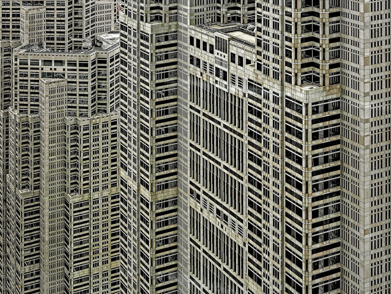 Urban forest