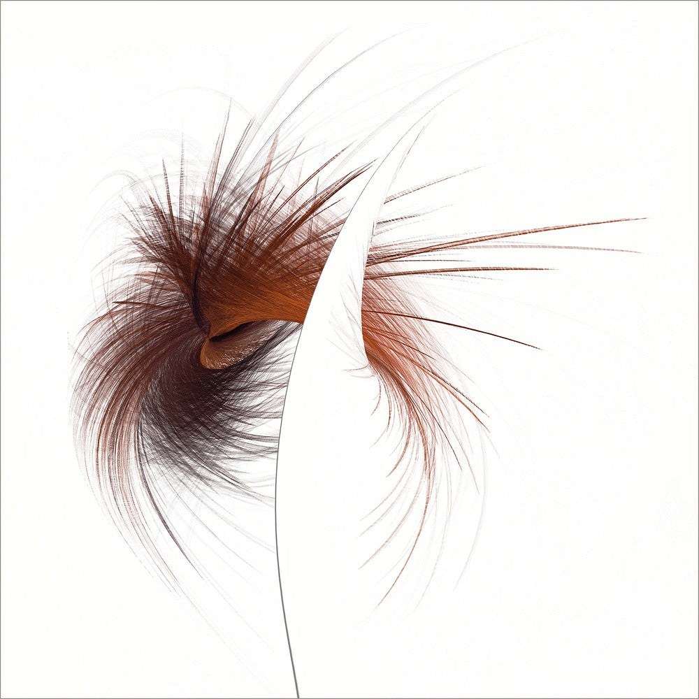 Wild Split