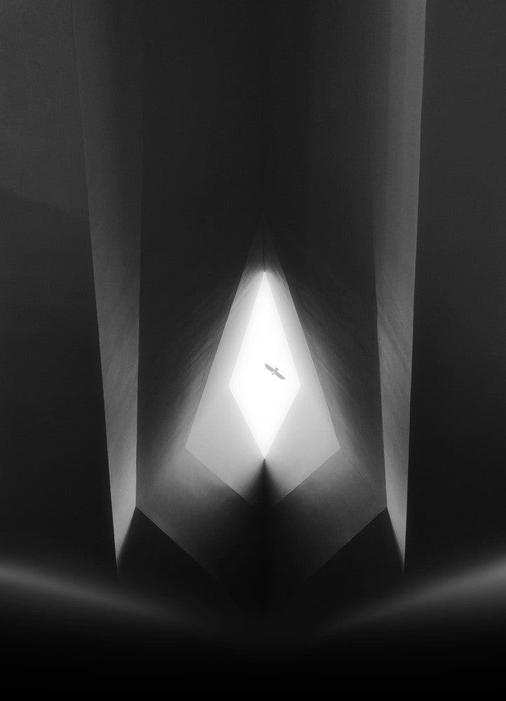 A bird flew over the roof