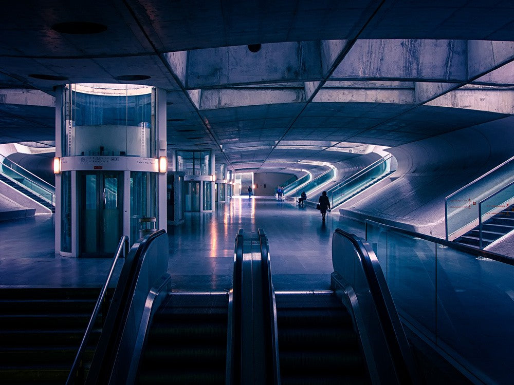 The Lower Level
