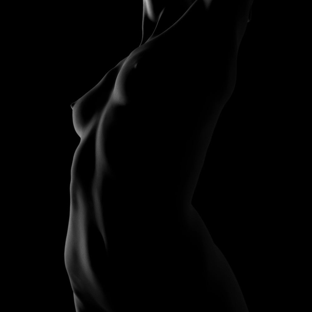 Torso