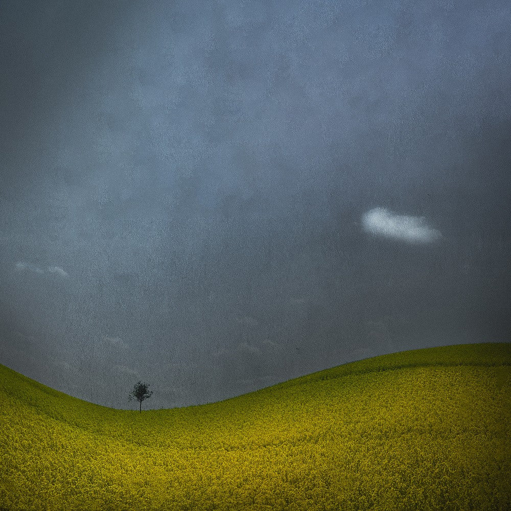 Minimalist landscape