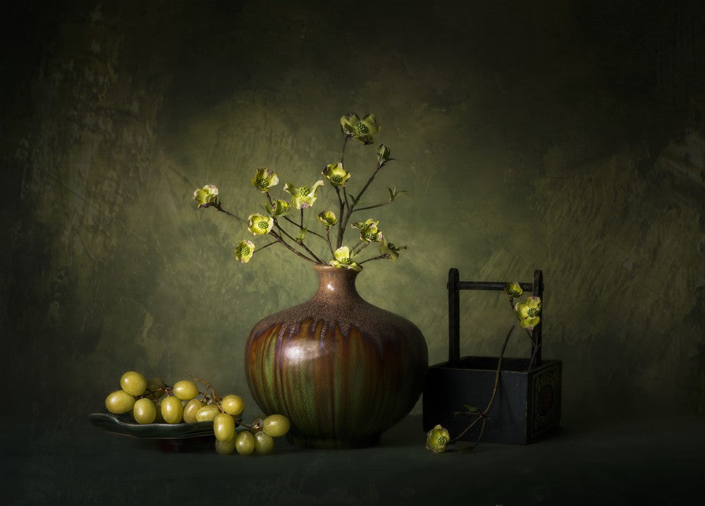 dogwood flower  and green mood