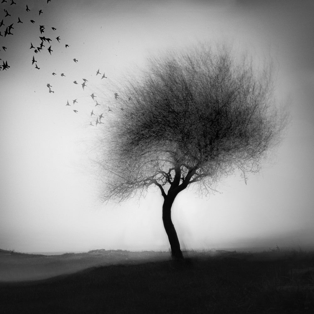 ...eins