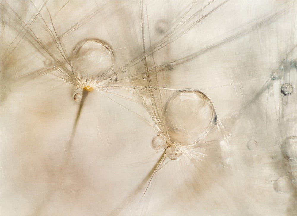 Aquarelle