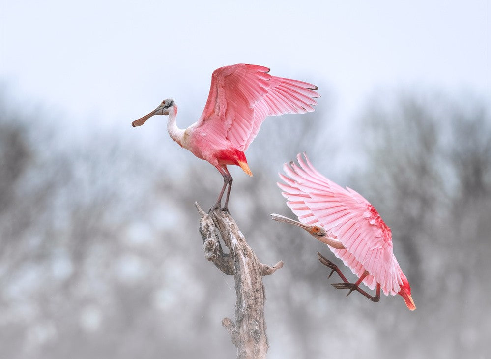 I love that position