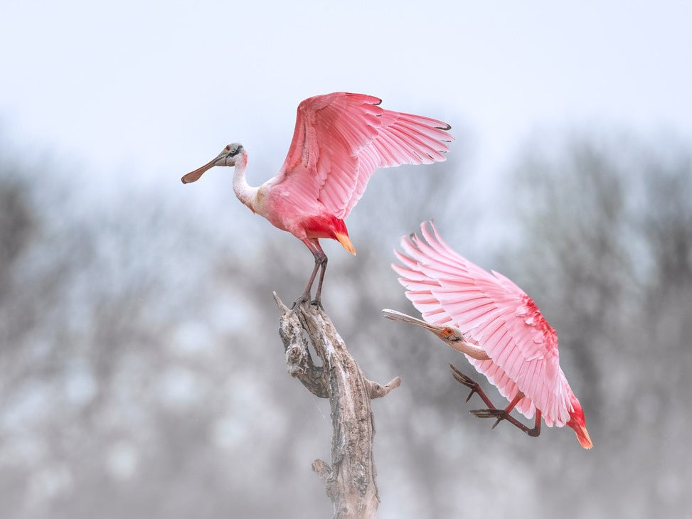 I love that position