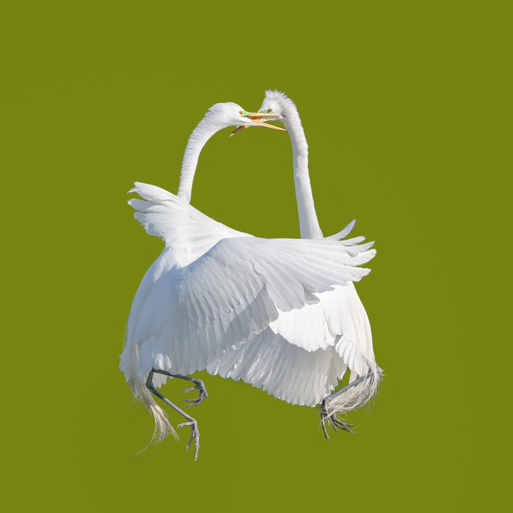 Eine Handtasche mit Schloss