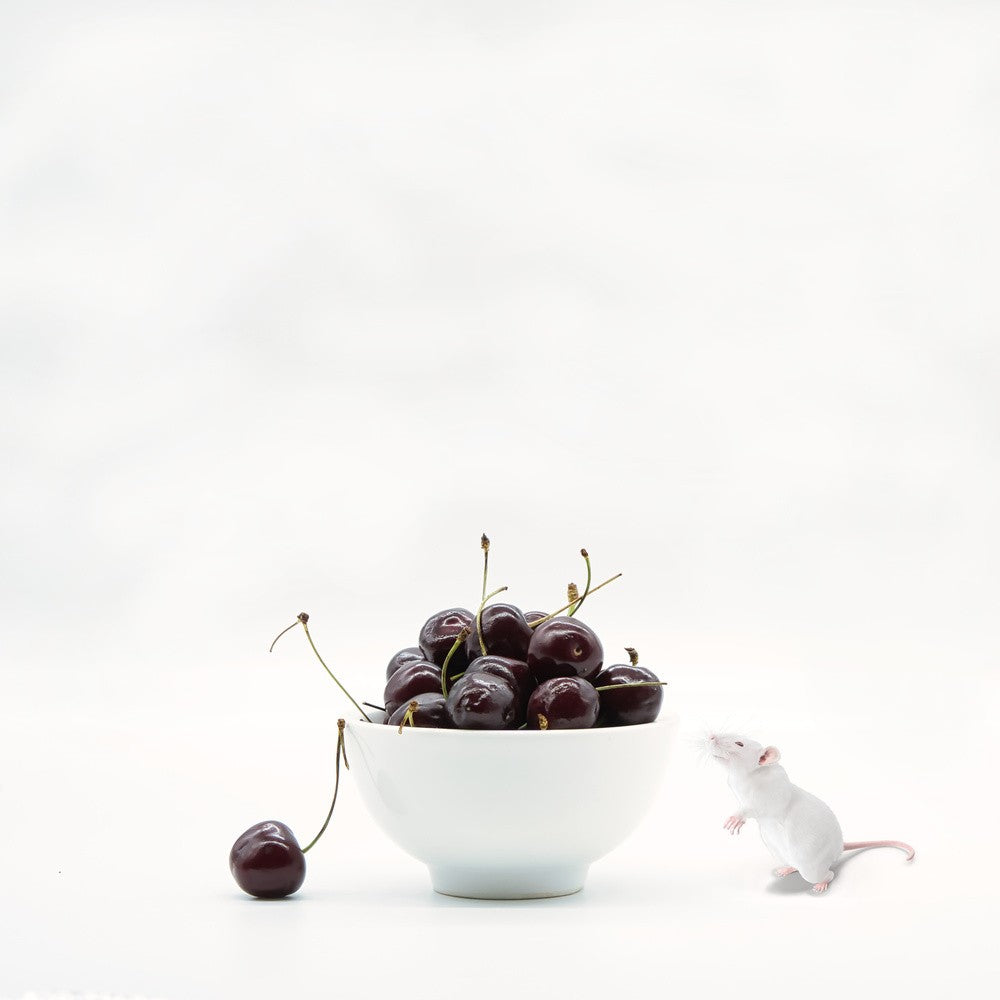 Cherry passion .