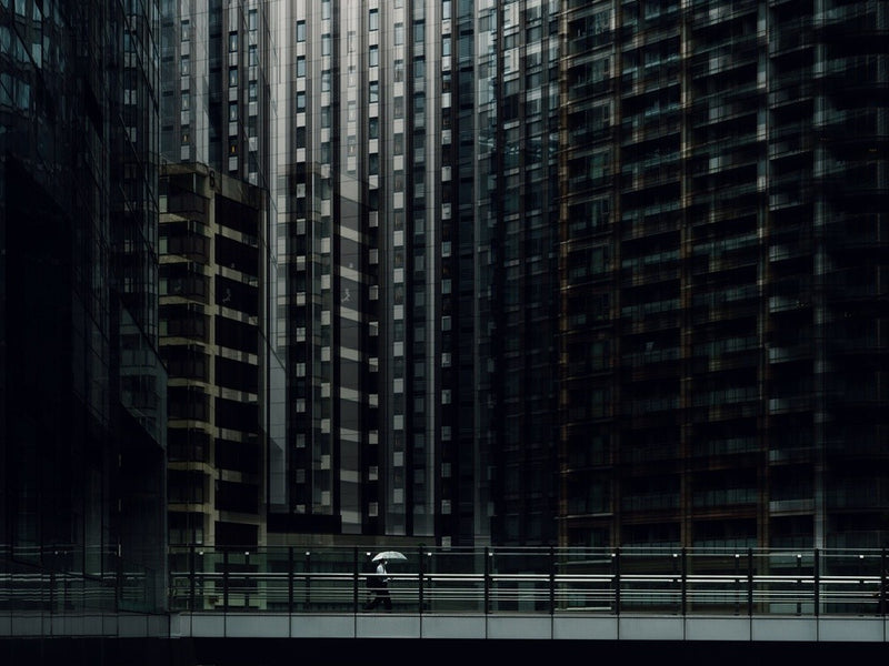 Urban forest
