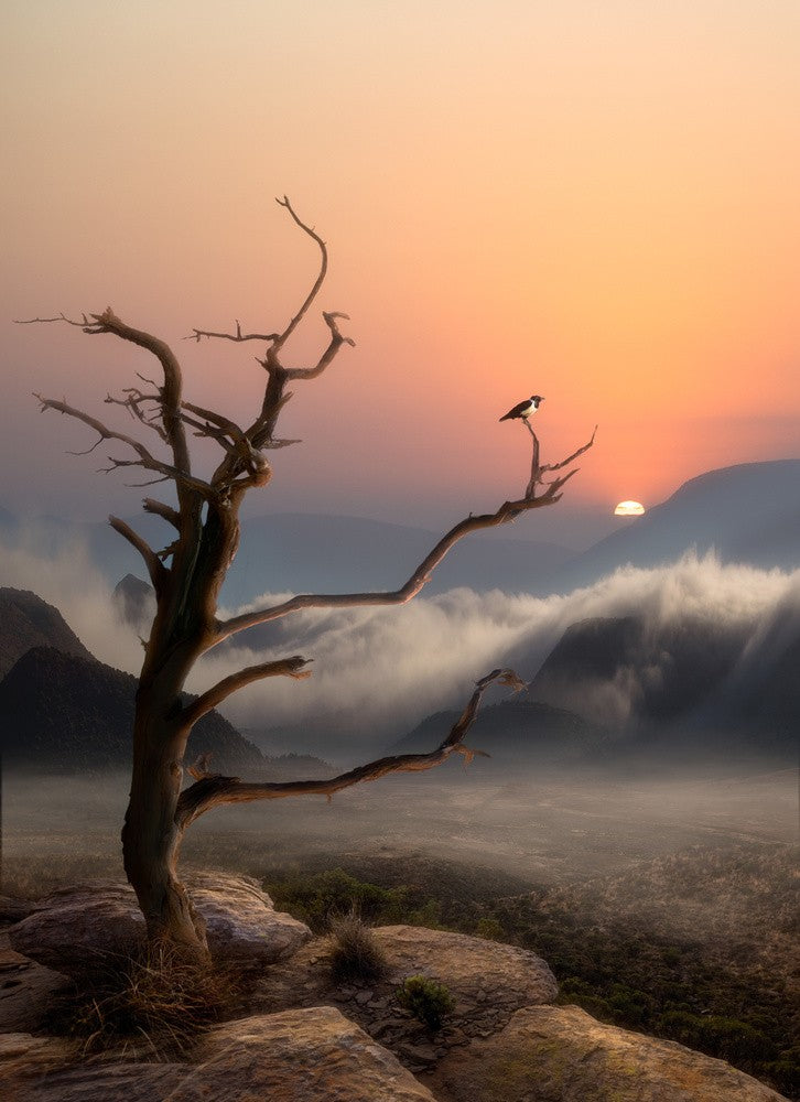'...It's a new dawn, it's a new day, it's a new life....'