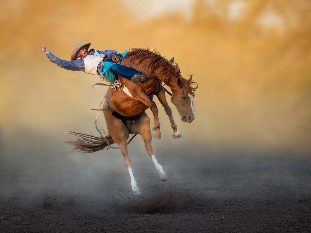 &quot;Pas de deux&quot;