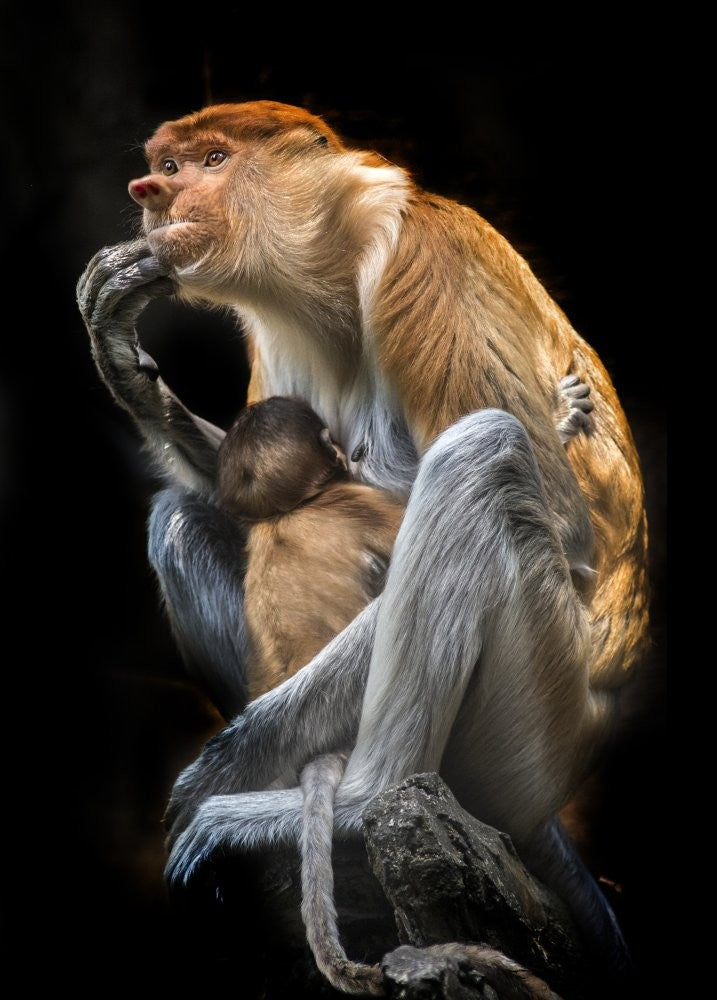 Loving Mother