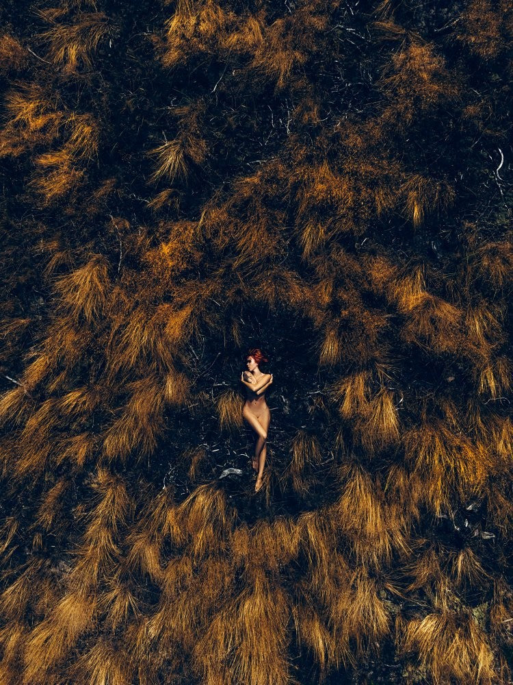 Golden Embrace