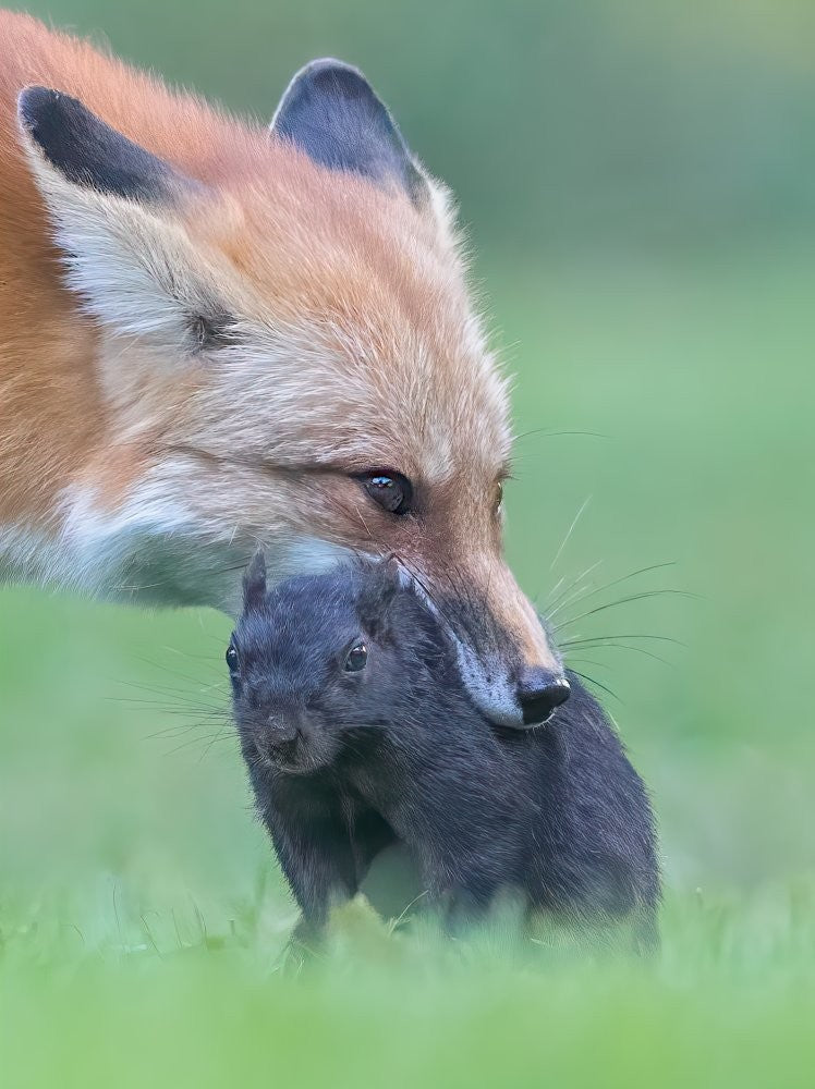 Moment intense