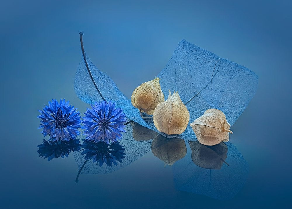 Blue Mood
