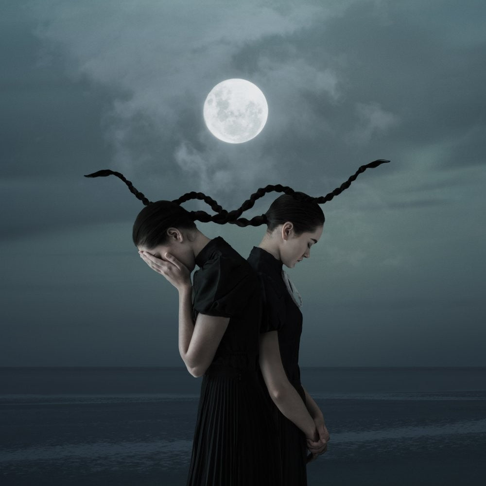 Who Stole The Moon