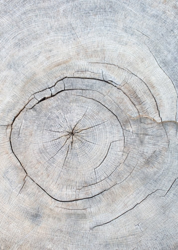 Pattern_wood_2